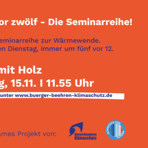 Heizen mit Holz, Online-Seminar, 15. November 2022