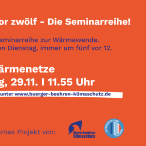 Neue Wärmenetze, Online-Seminar, 29. November 2022
